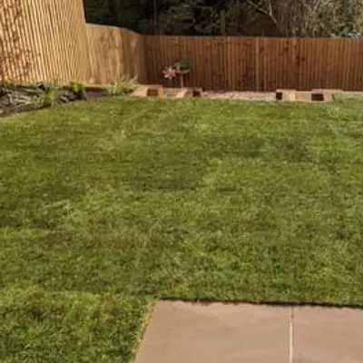 lawn turfing